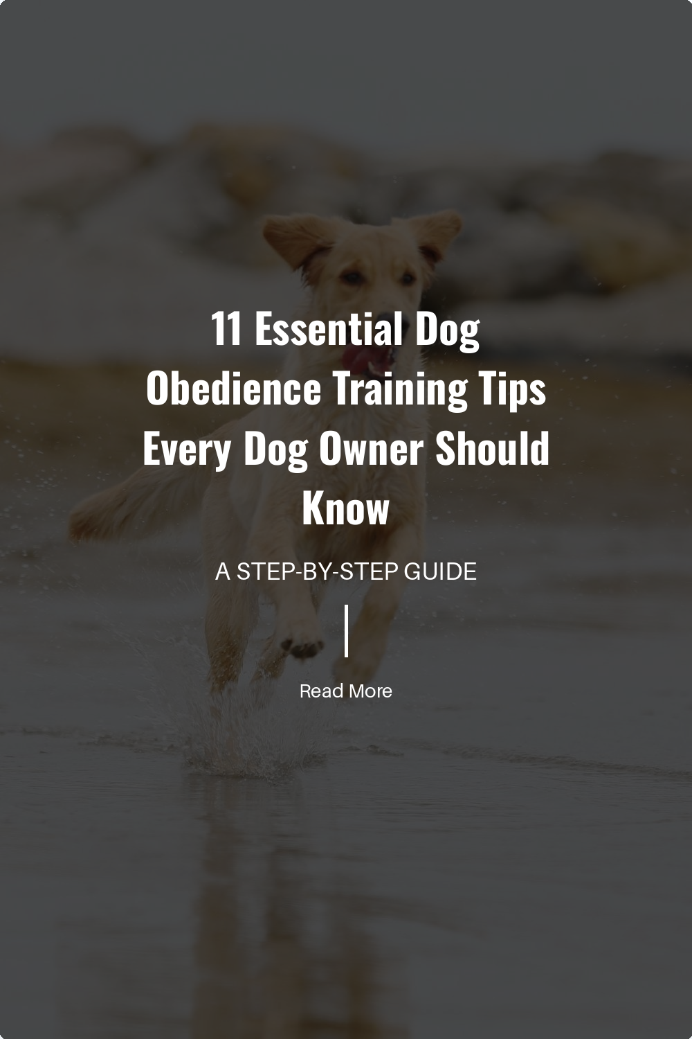 Punishment can harm your relationship with your dog. Instead of yelling or scolding, redirect their behavior and reward positive actions.