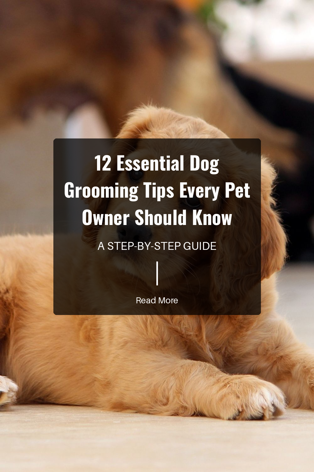 Learn techniques to manage shedding. Regular grooming reduces loose hair around your home. Discover the best brushes and tools to combat shedding.