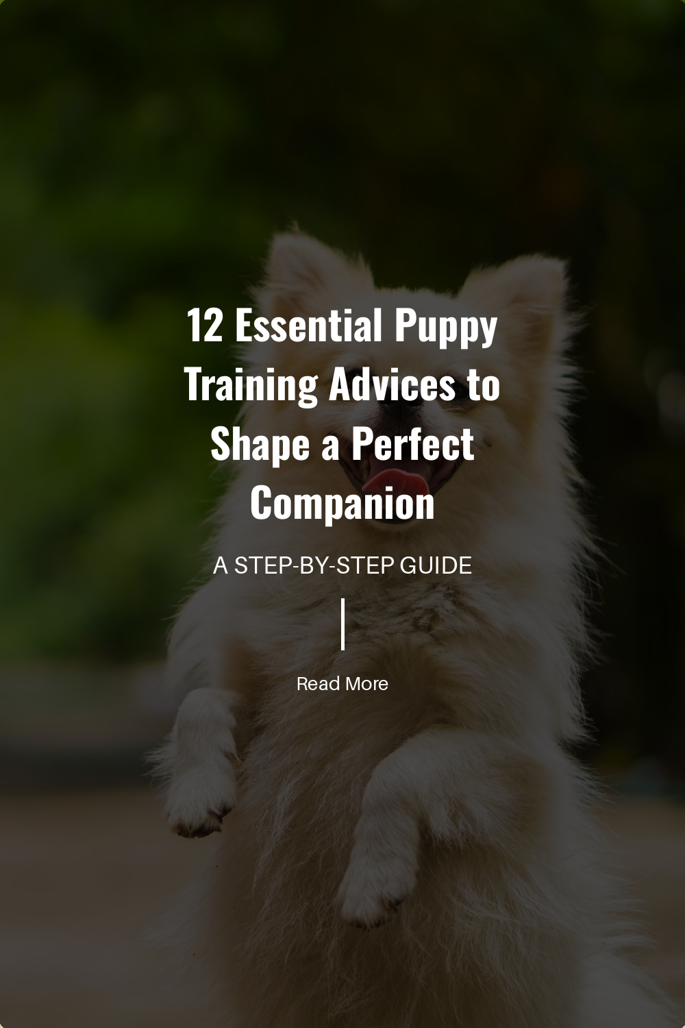 Teach your puppy to control the strength of their bite. Yelping softly when they bite too hard signals that theyre being too rough.