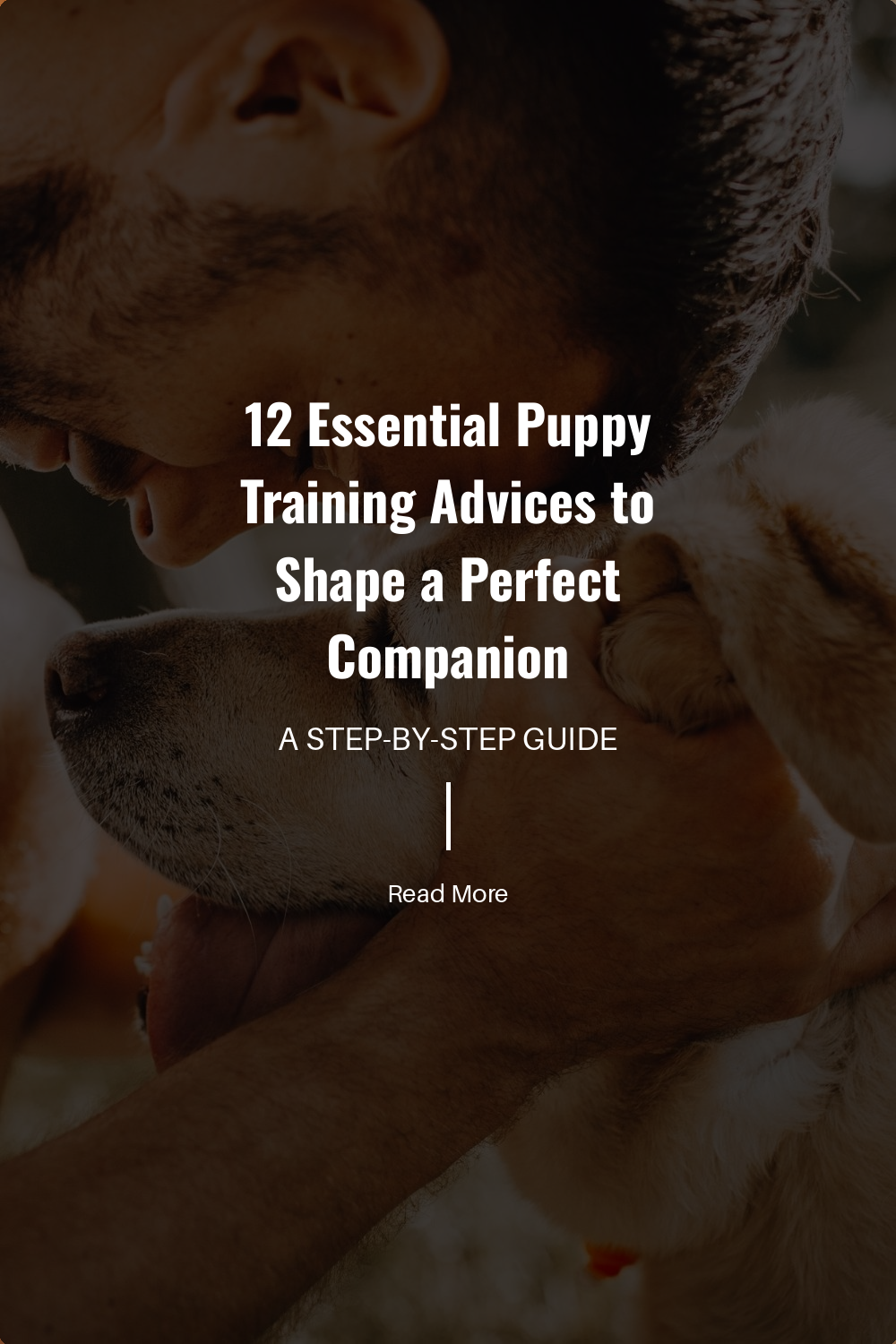 Consistently take your puppy outside to urinate and defecate. Reward them with treats and praise, reinforcing the idea that outside is the right place.