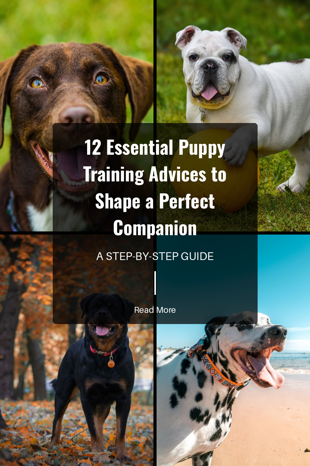 Reward good behavior with treats, praise, or toys. Positive reinforcement encourages your puppy to repeat actions that earn them rewards.