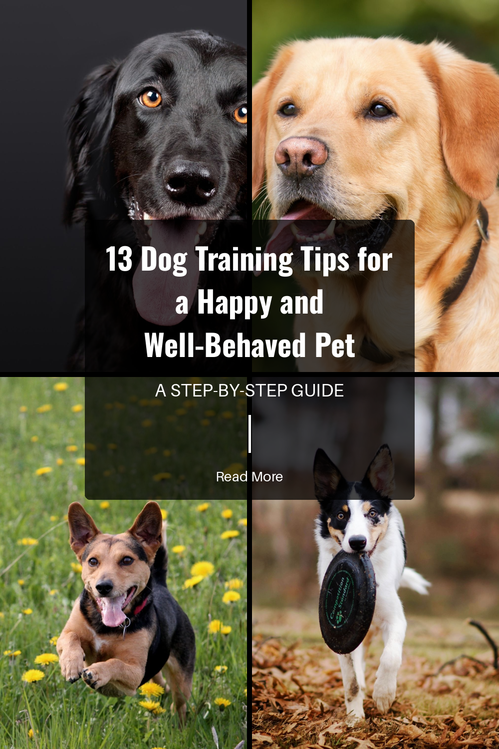 Crate Training Tips