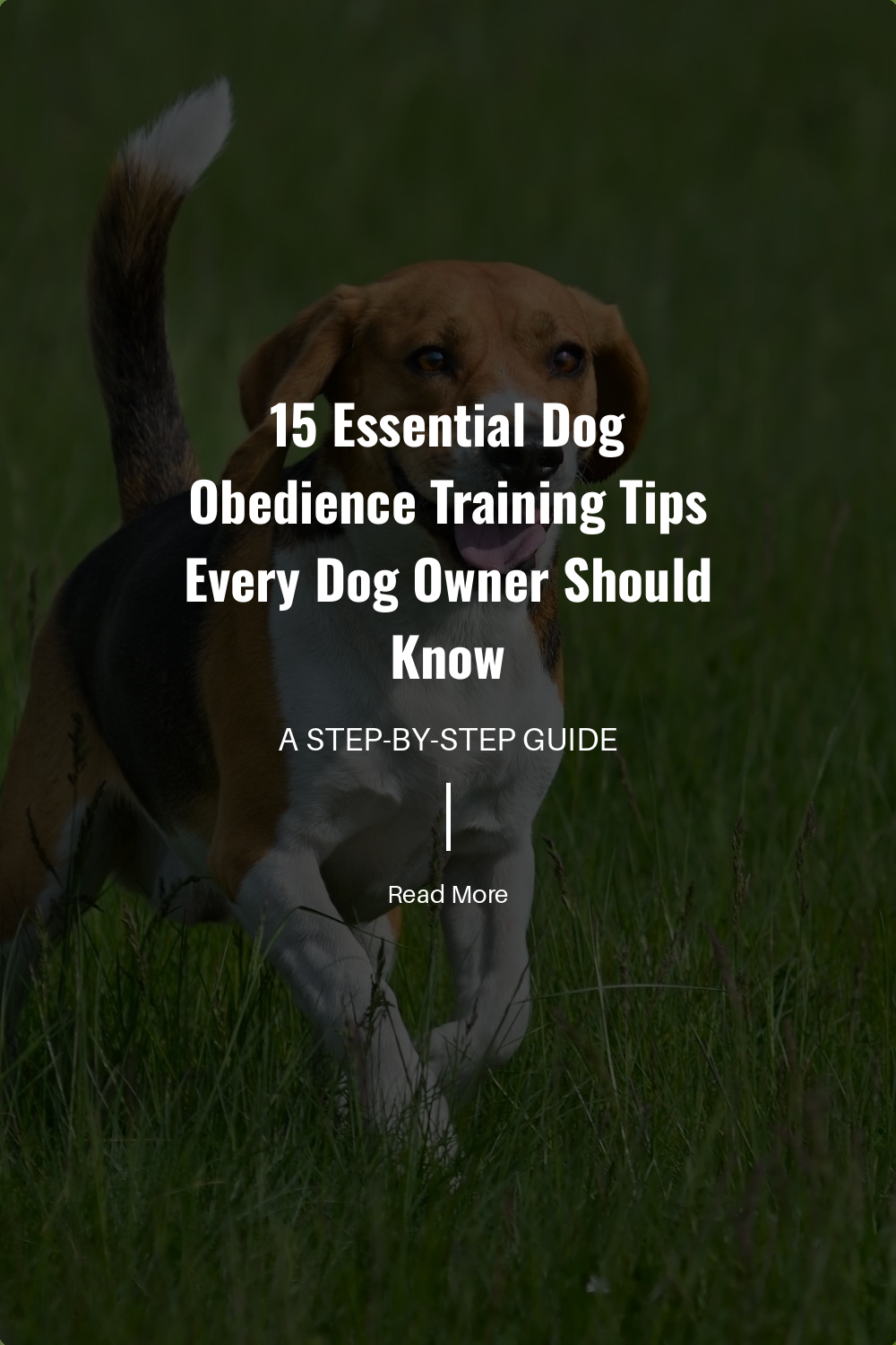 Trust is the foundation of any relationship. Being consistent, fair, and loving strengthens the bond between you and your dog.