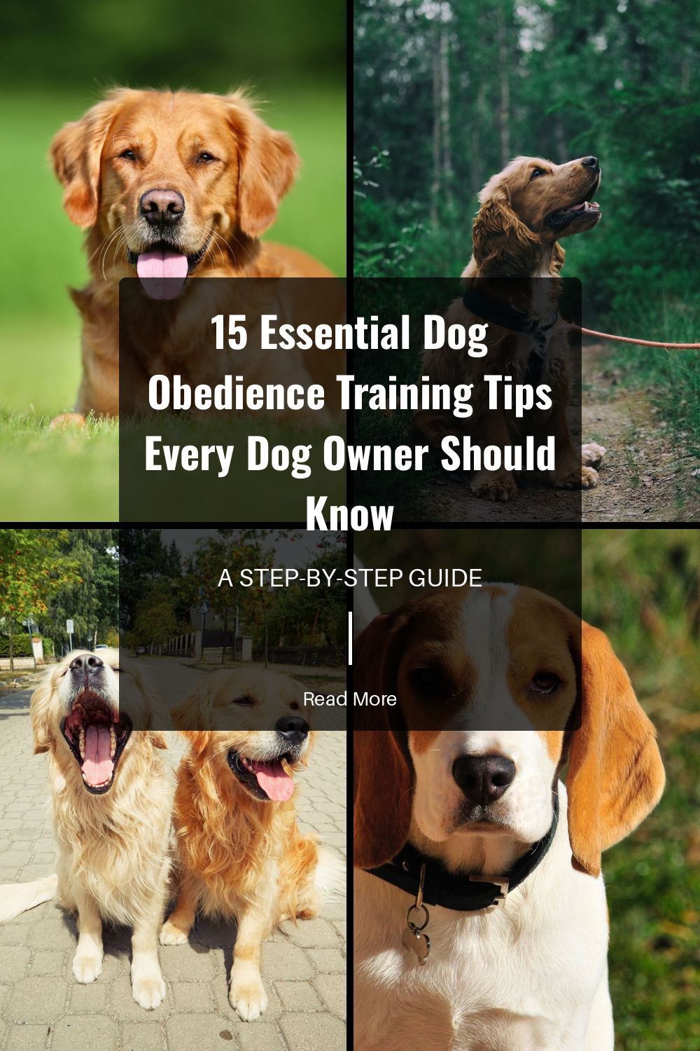 Use the same words for each command. This helps your dog understand exactly what you want, reducing confusion and speeding up training.