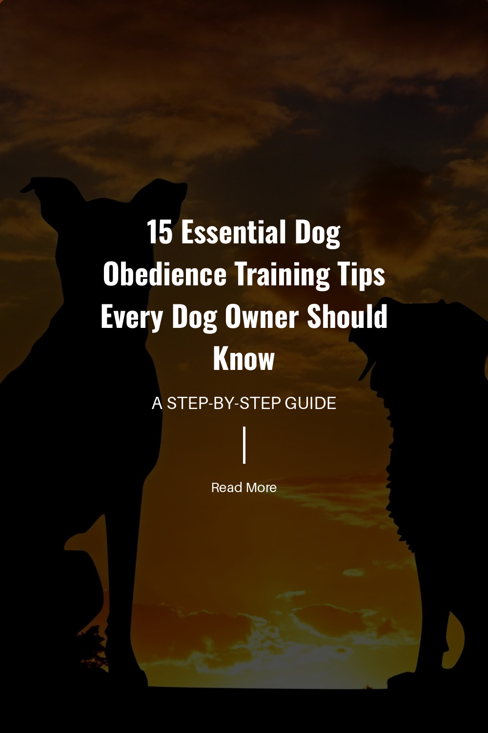 Come is one of the most important commands. Practice it often to ensure your dog will return to you in different environments.