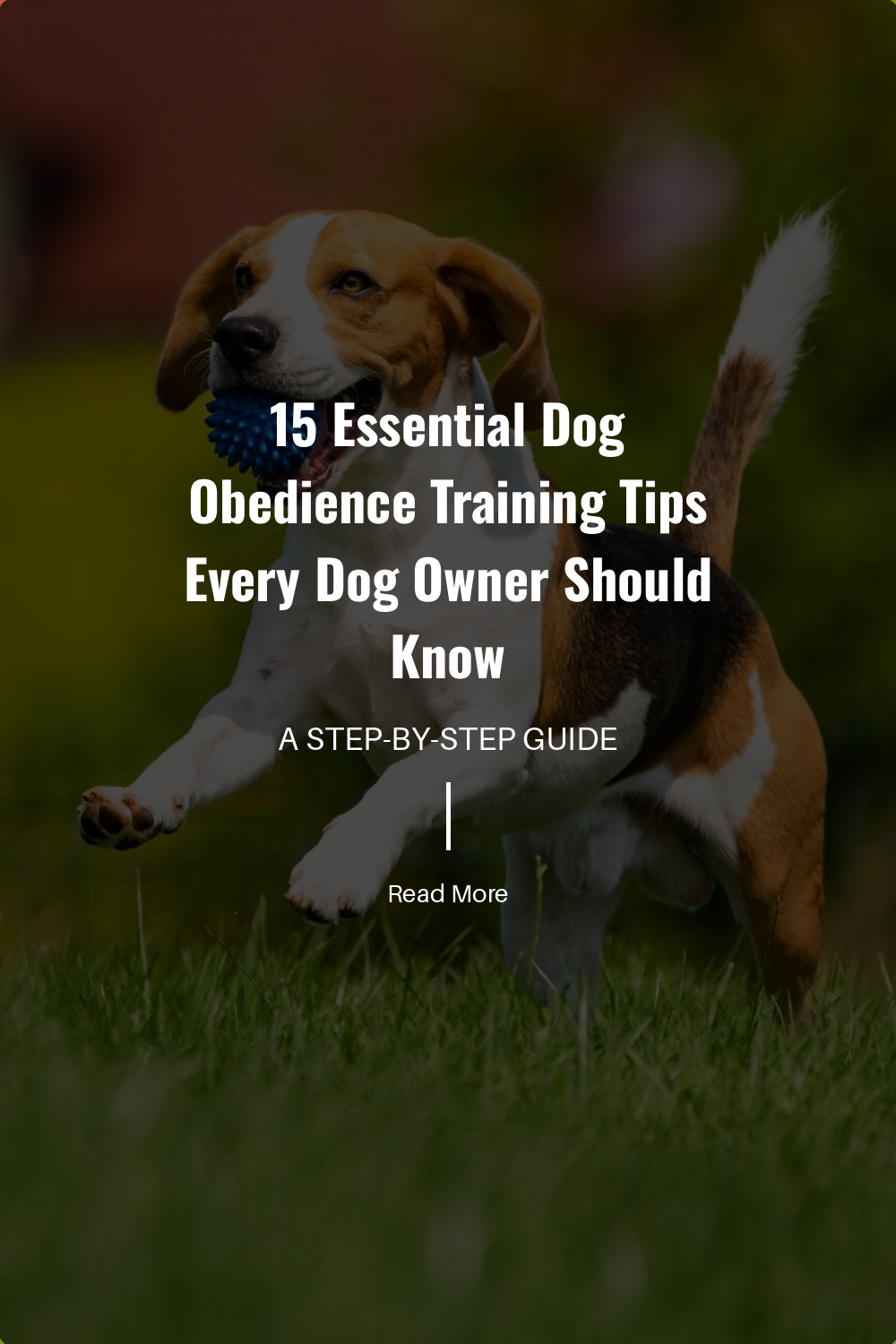 Practices like wait or leave it teach your dog self-control. These commands are critical for safety and good behavior in various situations.