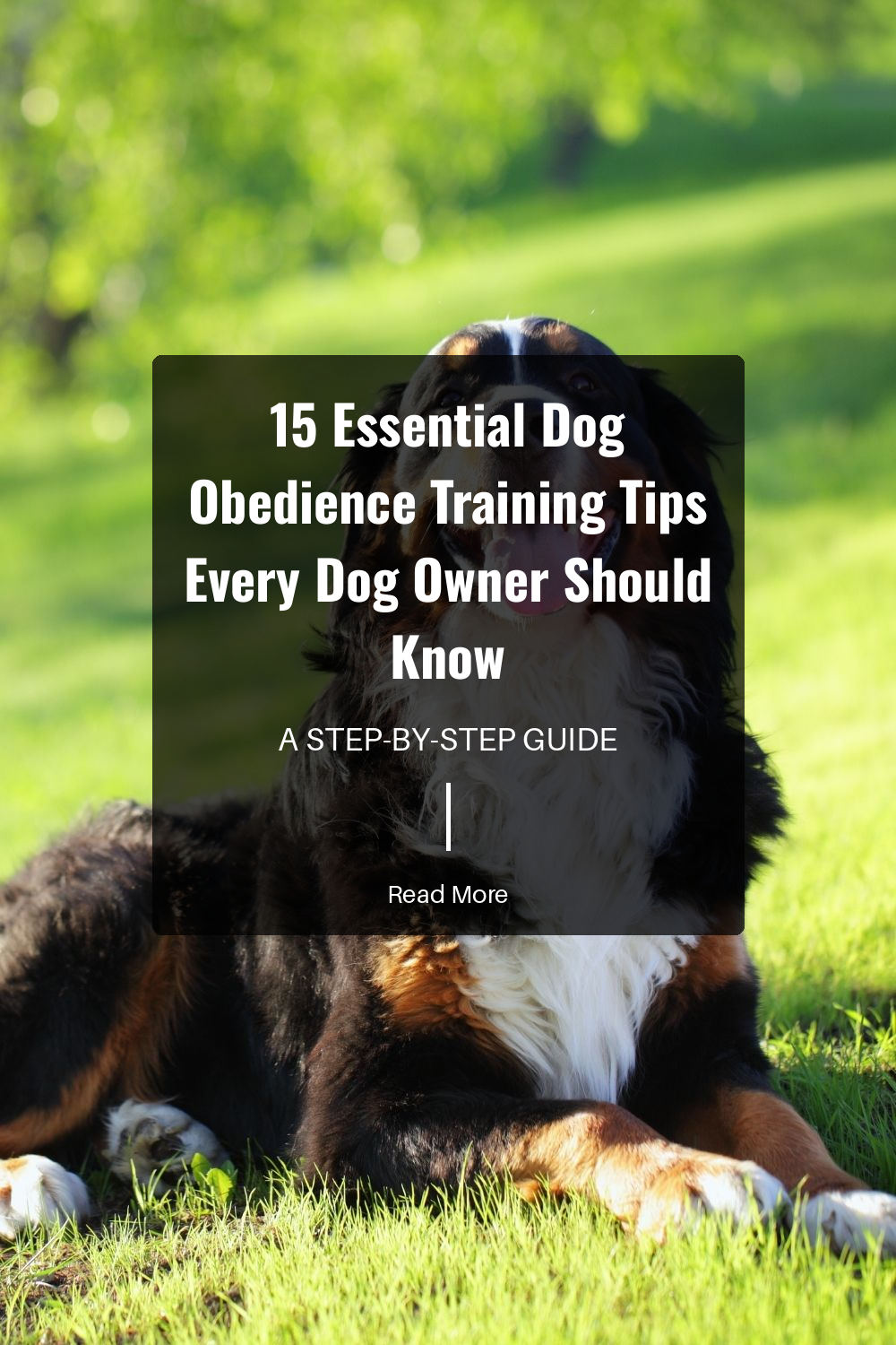 Knowing what motivates your dog is crucial. Whether its treats, toys, or praise, understanding their preferences will improve training outcomes.