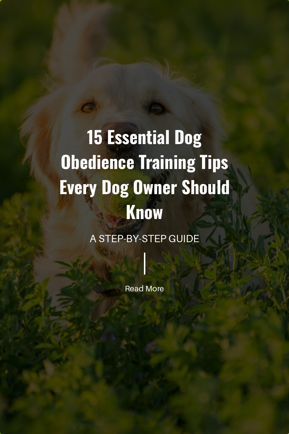 Combine verbal commands with hand signals. This reinforces learning and helps your dog understand commands even from a distance.