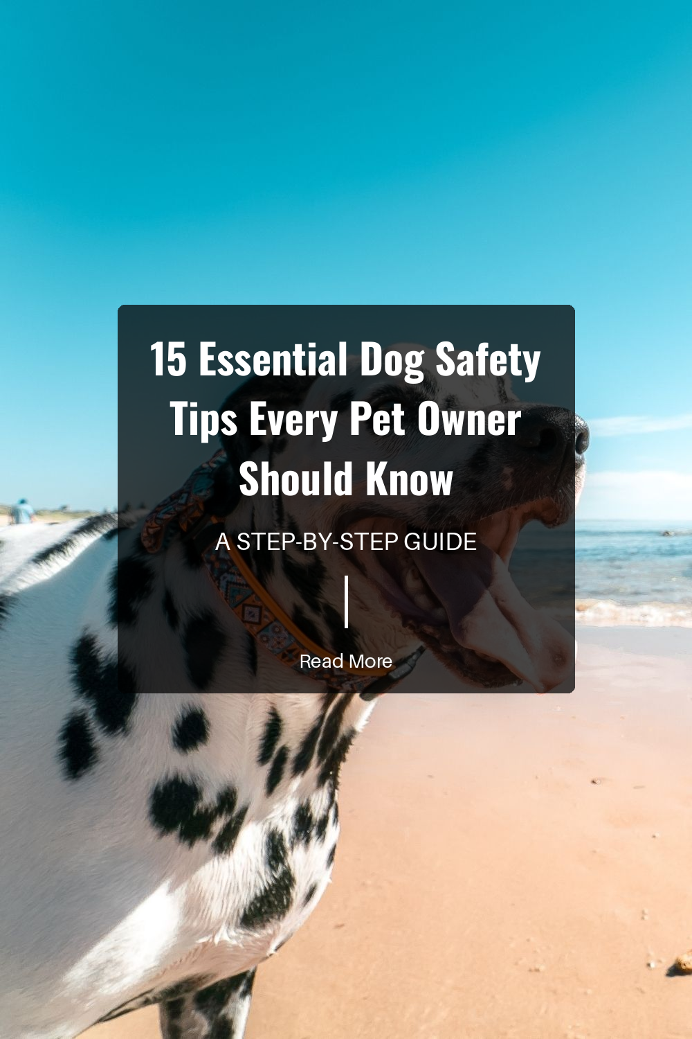 Always supervise your dog around water, whether its a pool, lake, or beach. Not all dogs are natural swimmers, and accidents can happen quickly. Consider using a dog life jacket for added safety.