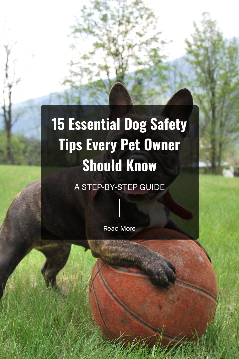 Learn to recognize signs of stress and anxiety in your dog, such as panting, shaking, or hiding. Addressing these signs early can prevent behavioral problems and help keep your dog calm and safe.