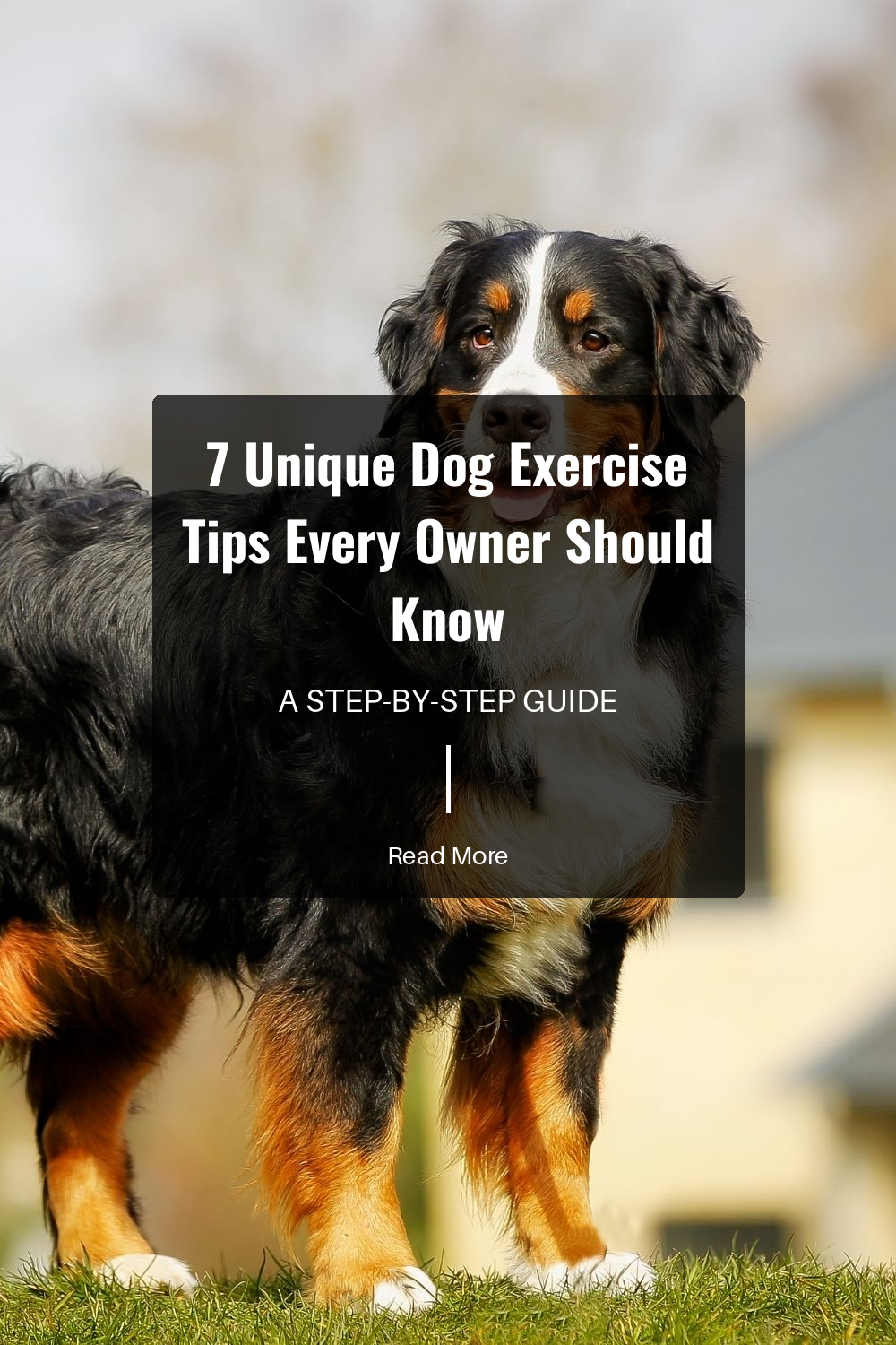 Organizing playdates with other dogs can be a fantastic way to encourage socialization and physical activity. It helps your dog build social skills while burning off excess energy.