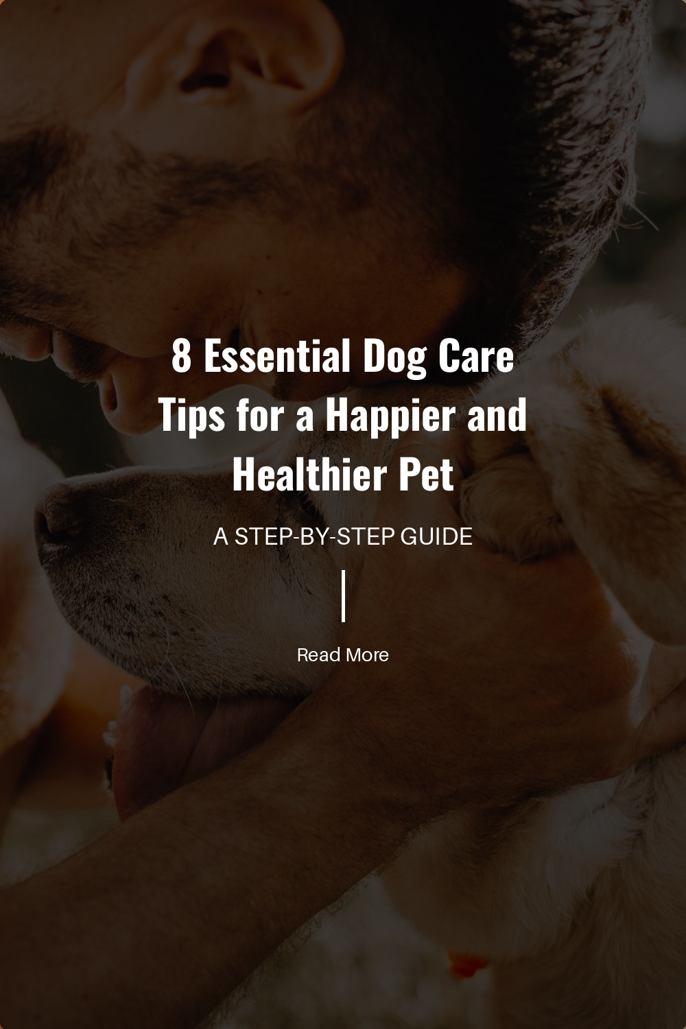 8 Essential Dog Care Tips for a Happier and Healthier Pet | The Paw Department