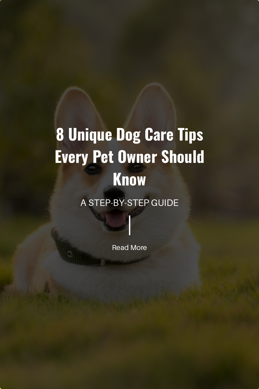 Learn how to identify and respond to your dogs emotional cues. Meeting their emotional needs can lead to a happier and more balanced dog.