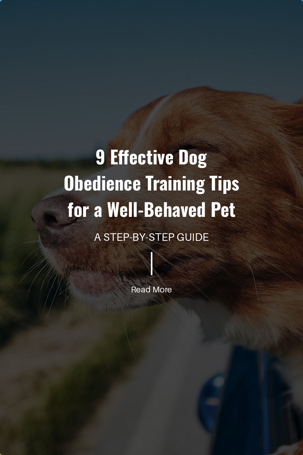 Punishment can create fear and anxiety in dogs. Instead of punishing bad behavior, ignore it or redirect your dog to a more appropriate action. Positive reinforcement is more effective in the long run.