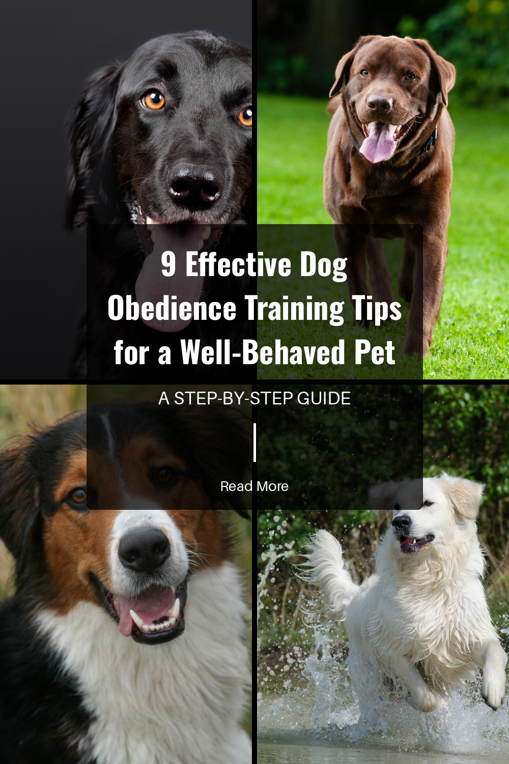 Begin training with simple commands like “sit,” “stay,” and “come.” These are foundational commands that will help your dog understand what you expect of them. They provide a base for more complex training exercises.