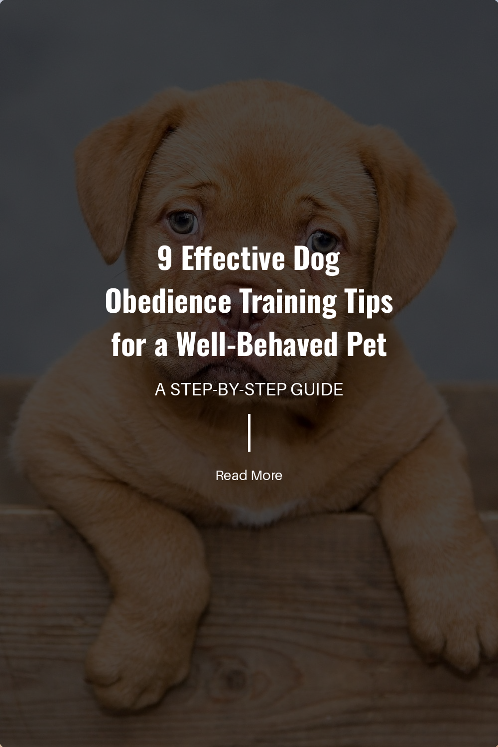 Treats are a great motivator. Give treats immediately after your dog performs the desired behavior to reinforce the connection. Make sure the treats are small and healthy to avoid overfeeding.