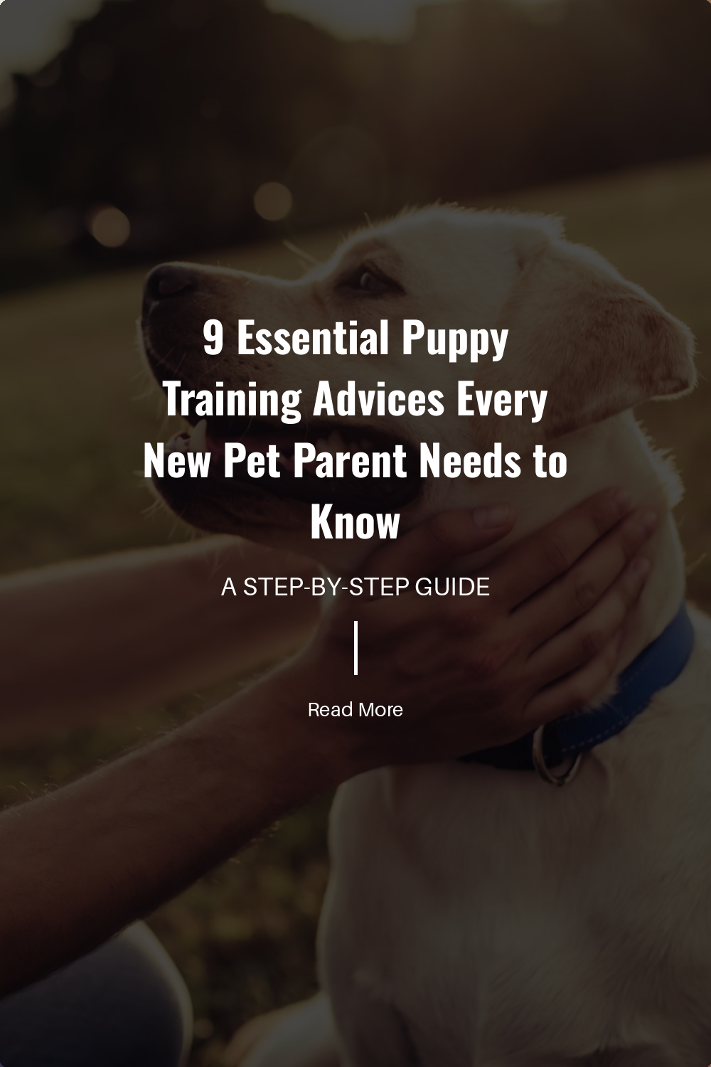 Consistency in commands and routines is crucial. It helps your puppy understand expectations and builds trust, making the training process smoother and more effective.