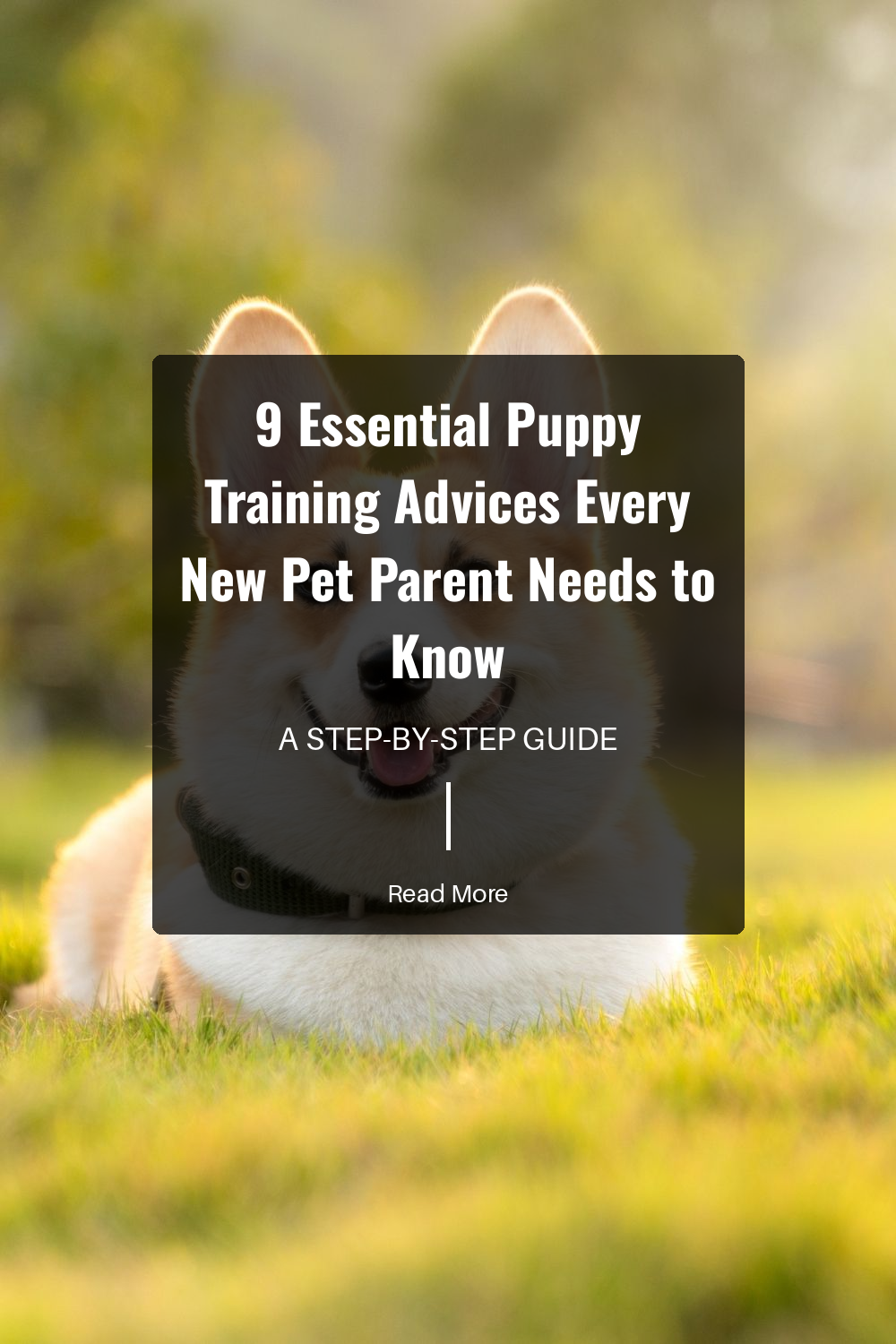 Discover your puppys basic needs like food, sleep, exercise, and mental stimulation. Knowing these essentials helps in creating a balanced and happy environment for your furry friend.