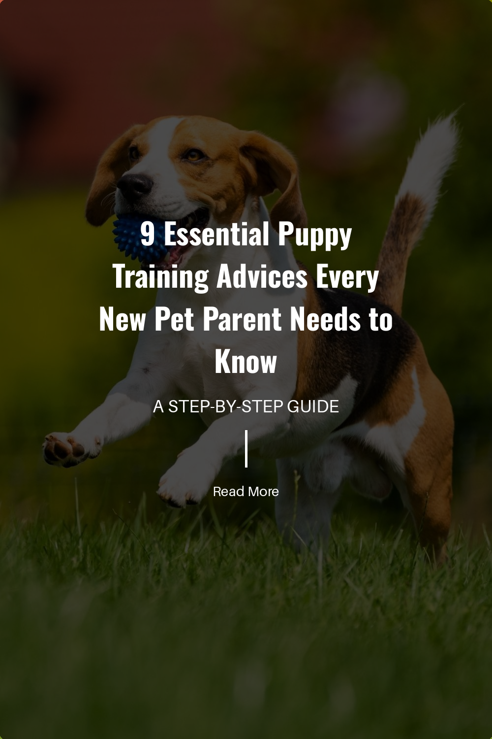 Use treats and praise to reward good behavior. Positive reinforcement makes your puppy associate obedience with rewards, making training sessions enjoyable and effective.