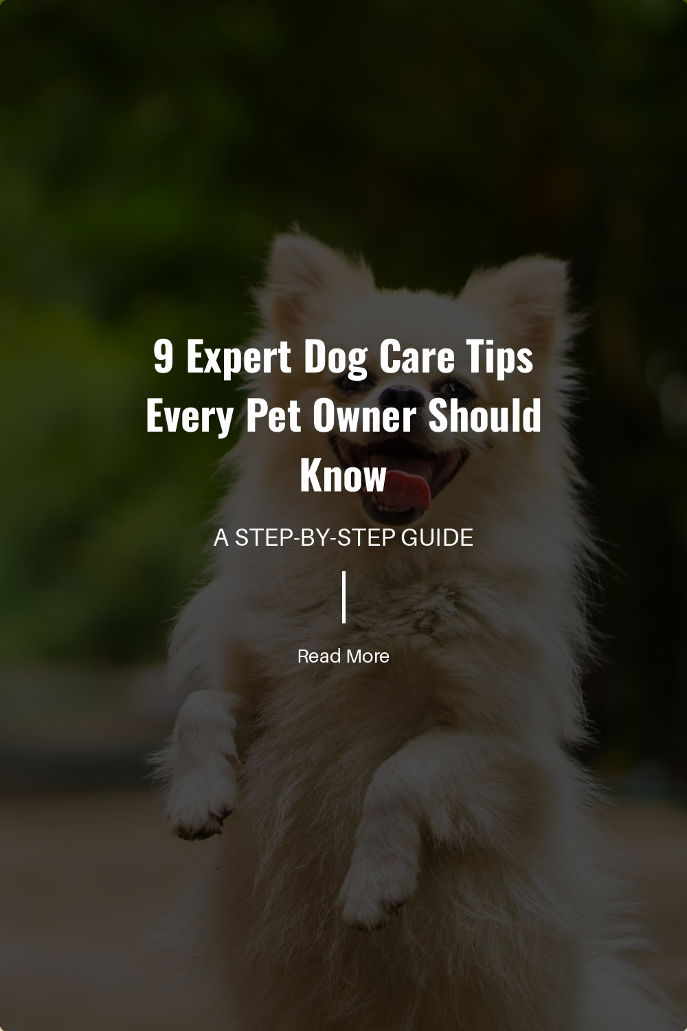 Keep an eye on changes in your dogs behavior, appetite, or physical appearance. Early detection of health problems can lead to quicker treatment and better outcomes.