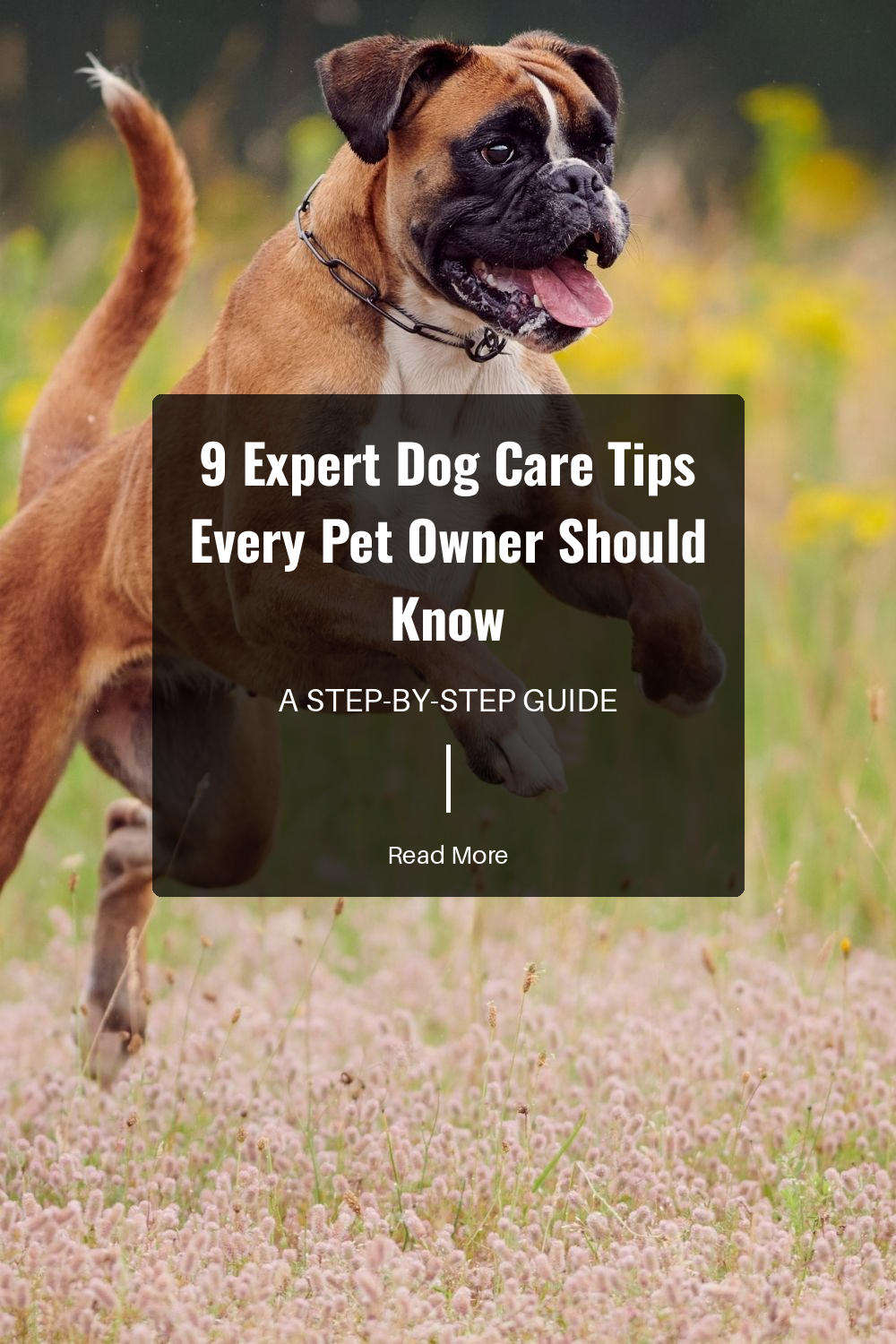 Teach basic commands like sit, stay, and come. Proper training improves behavior, enhances safety, and builds trust. Consistent training is key for a well-mannered dog.