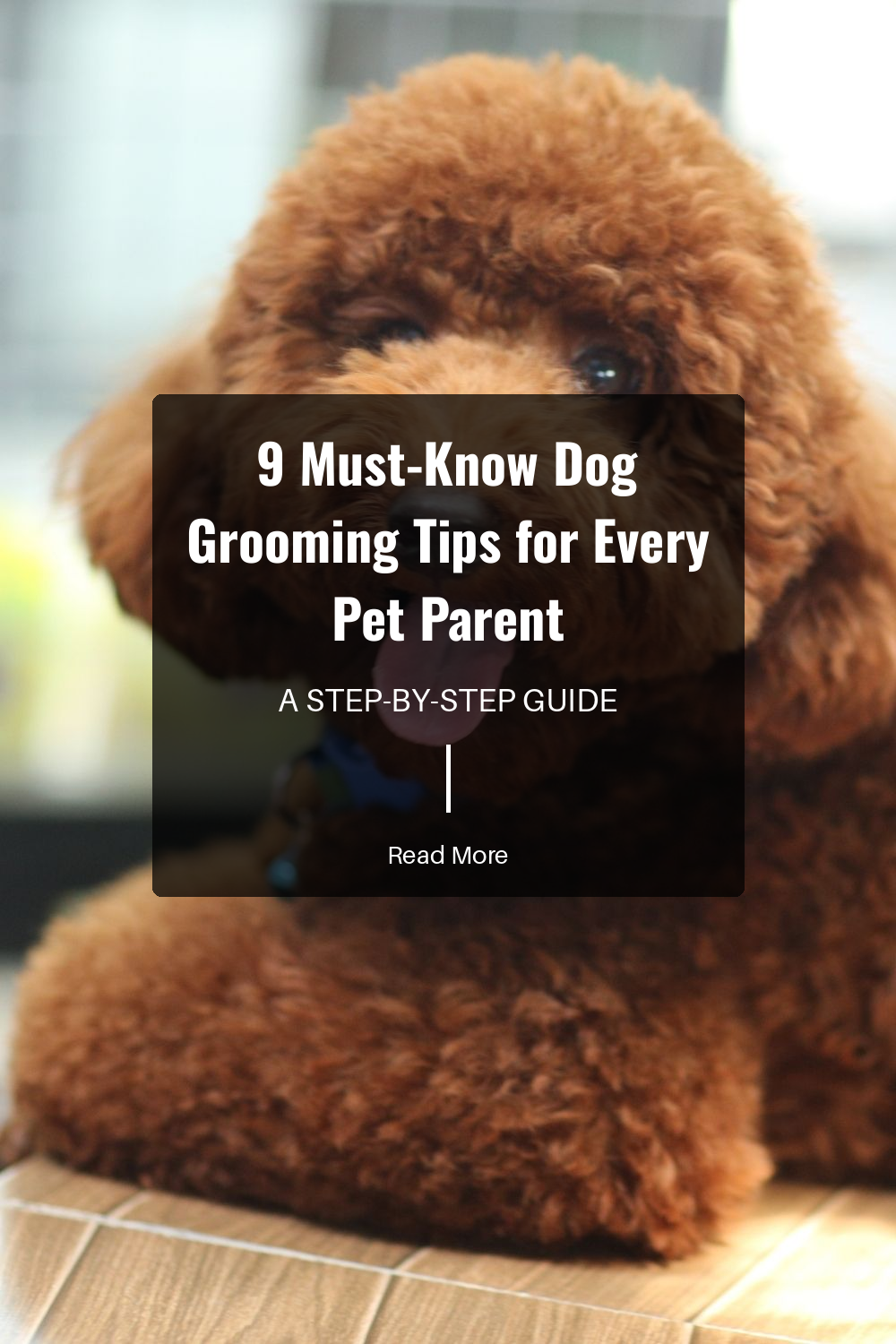 During grooming, check your dog’s skin for signs of irritation, lumps, or parasites. Early detection of skin issues helps in their timely treatment.