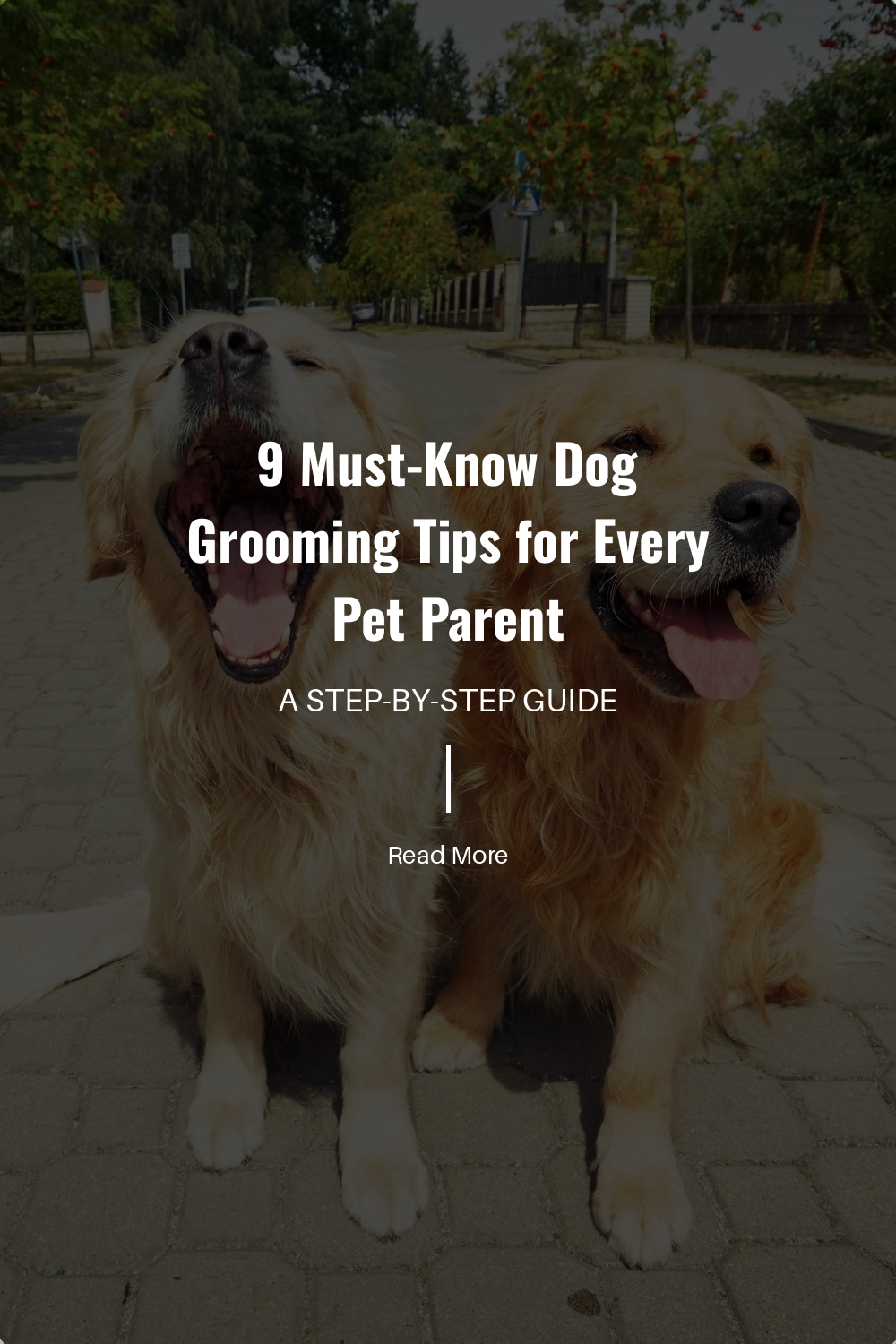 Understand the specific grooming tools your dog needs. Different breeds may require different brushes or combs. Using the right tools makes grooming easier and prevents discomfort.