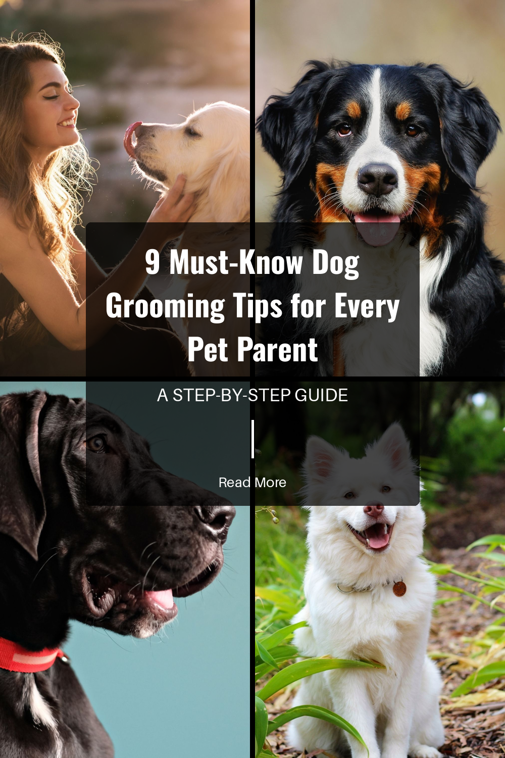 Make grooming a positive experience by rewarding your dog with treats and praise. Positive reinforcement encourages good behavior and makes grooming sessions more enjoyable.