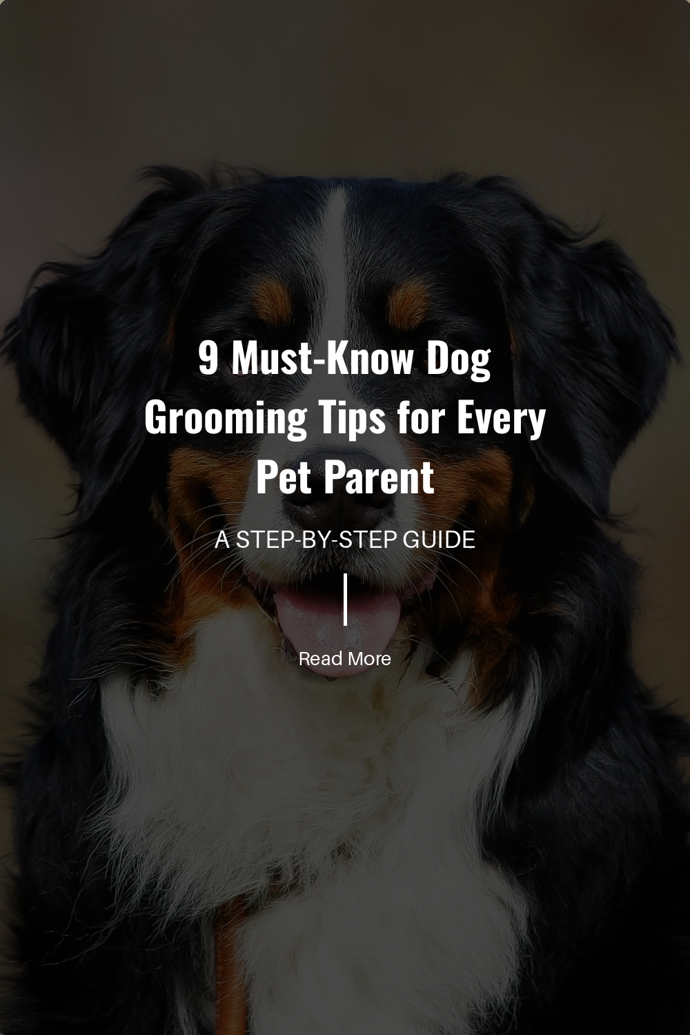 Bathe your dog when necessary using a shampoo designed for dogs. Avoid over-bathing as it can dry out their skin. Rinse thoroughly to remove shampoo residue.